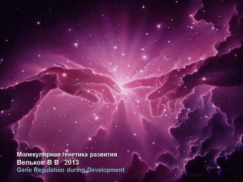 Молекулярная генетика развития Вельков В В 2013 Gene Regulation during Development Молекулярная генетика развития Вельков В В 2013 Gene Regulation during Development